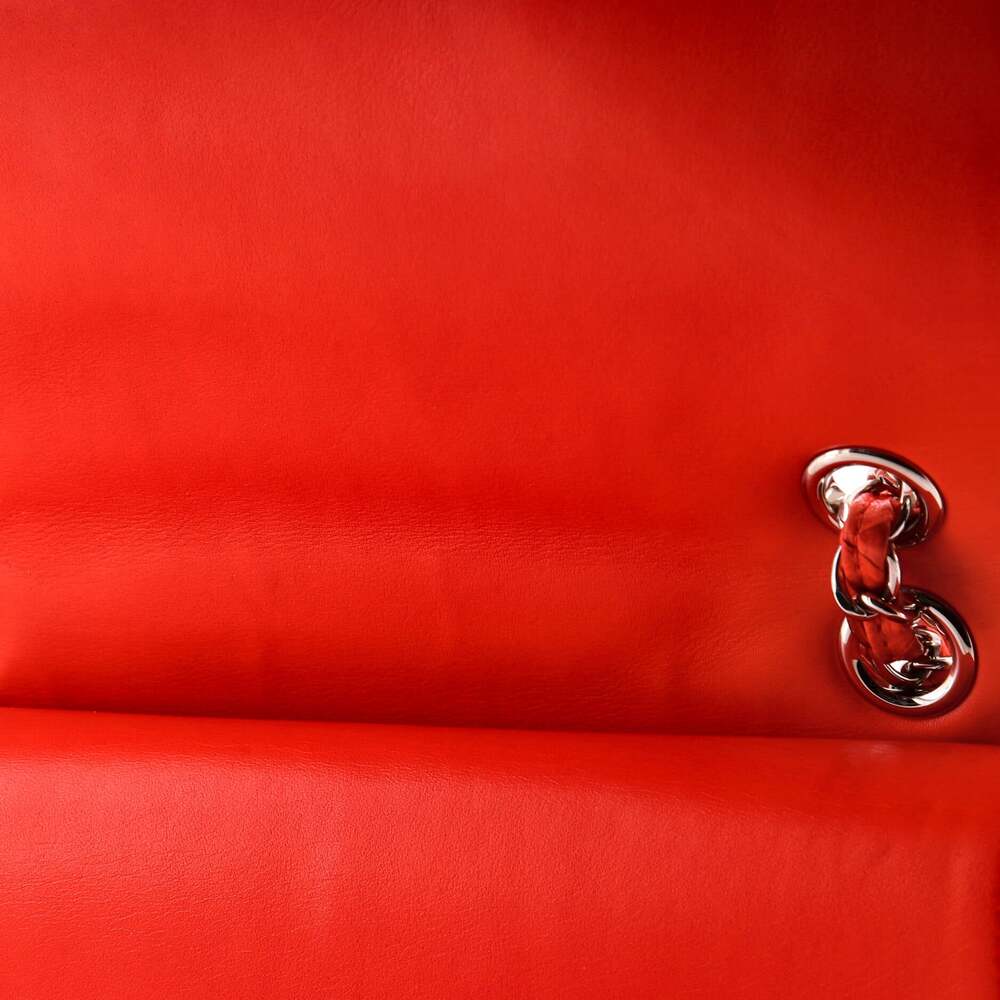 Chanel Classic Double Flap Bag Python #222847C43B - image 8